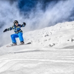 Fiss 2014 d Fiss 2014 d