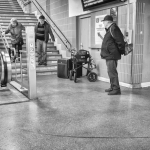 Alexandrium 2 Alexandrium 2