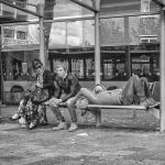 Alexandrium 4 Alexandrium 4