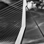 Erasmusbrug Erasmusbrug