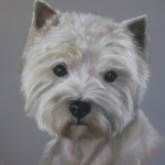 West Highland White Terrier " Sophie"