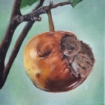 Muis in appel Muis in appel