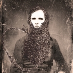 Bee bearding Bee bearding