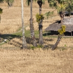 Platteland Platteland