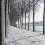 Houten Houten