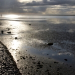 Schiermonnikoog Schiermonnikoog