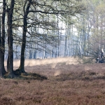 Veluwe Veluwe