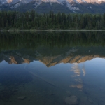 Reflectie Reflectie