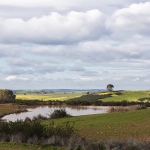 Landschap Landschap