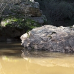 lagune lagune