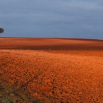 zonsopgang zonsopgang