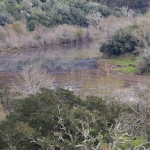 kurklandschap kurklandschap