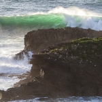 surf surf
