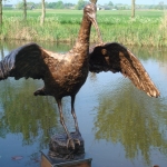 Grutto Grutto