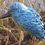 IJsvogel IJsvogel