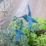 Kolibri Kolibri
