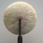 Luce del Sole Luce del Sole