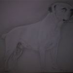 Hond 2009 Hond 2009