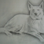 Hond 2007 Hond 2007