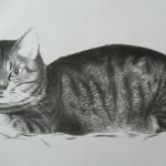 Poes 2001 Poes 2001