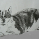 Poes 2003 Poes 2003