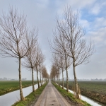 Wide Wide
