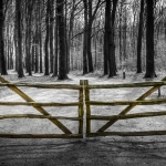 Fence Fence