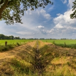 Fields of Drenthe Fields of Drenthe