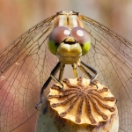 Got my eye on you 2 Got my eye on you 2
