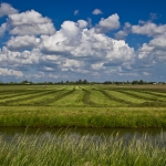 Wolkendek Wolkendek