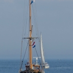 Zeilbootjes met zeemeeuw Zeilbootjes met zeemeeuw