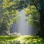 Beam me up Beam me up