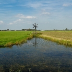 Langs de weilanden Langs de weilanden