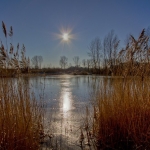 Door het riet Door het riet
