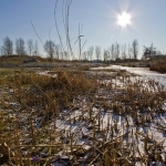 Vorst aan de grond Vorst aan de grond