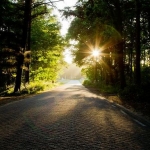 Sunray Sunray