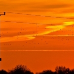 zon op / zon onder zon op / zon onder