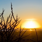zon op / zon onder zon op / zon onder