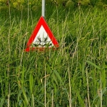 Wegzakker Wegzakker
