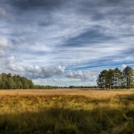 Leersum Leersum