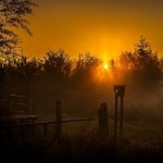 Hazy mornings Hazy mornings