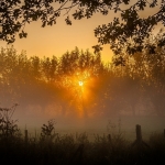 Good morning Good morning