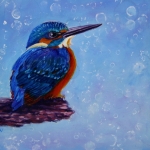 IJsvogeltje IJsvogeltje