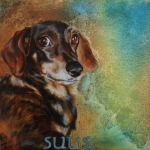 Suus Suus