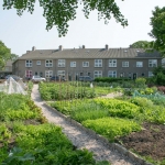 stadsmoestuin Wijsgerenbuurt A'dam stadsmoestuin Wijsgerenbuurt A'dam