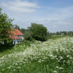 Kekerdom Kekerdom