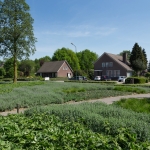 GreentoColour Boxmeer GreentoColour Boxmeer