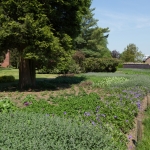 GreentoColour Sambeek GreentoColour Sambeek