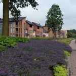 GreentoColour Boxmeer GreentoColour Boxmeer