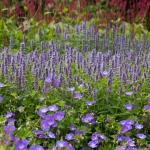 GreentoColour Sambeek GreentoColour Sambeek